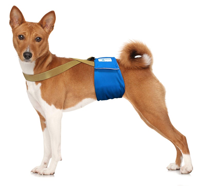 Paw Inspired Dog Diaper Suspenders with Velcro Fasteners | Stretchy Adjustable Suspenders for Female and Male Disposable and Washable Diapers | Fits Small, Medium and Large Size Pets (S/M, Brown) - Image 3